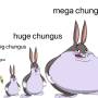 chungus.jpg
