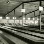 bowlingalley.jpg